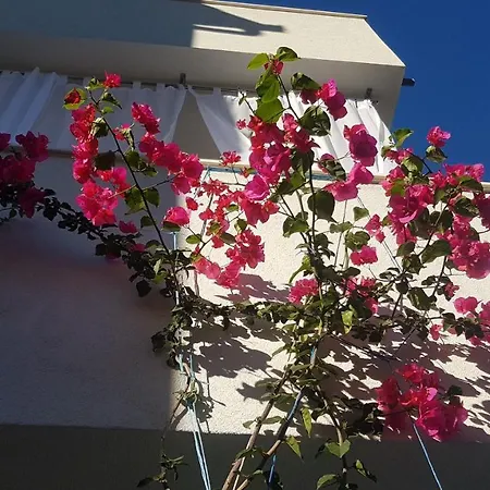 Mina Apartment Okrug Gornji